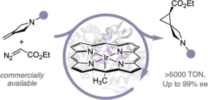 Spiro Spiro Spirocycles Everywhere.