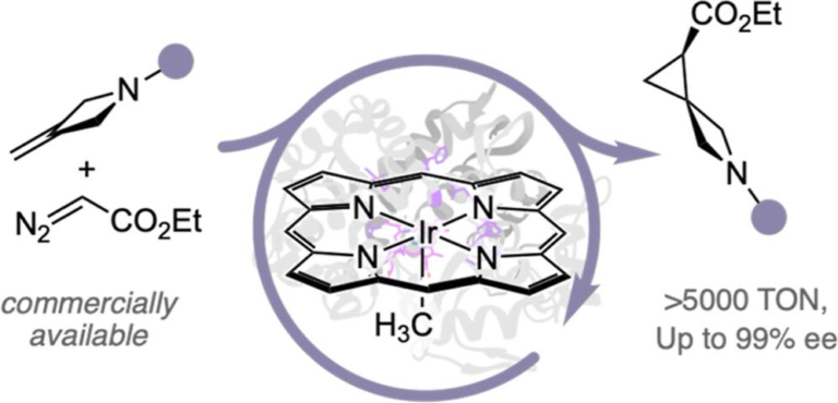 Spiro Spiro Spirocycles Everywhere.