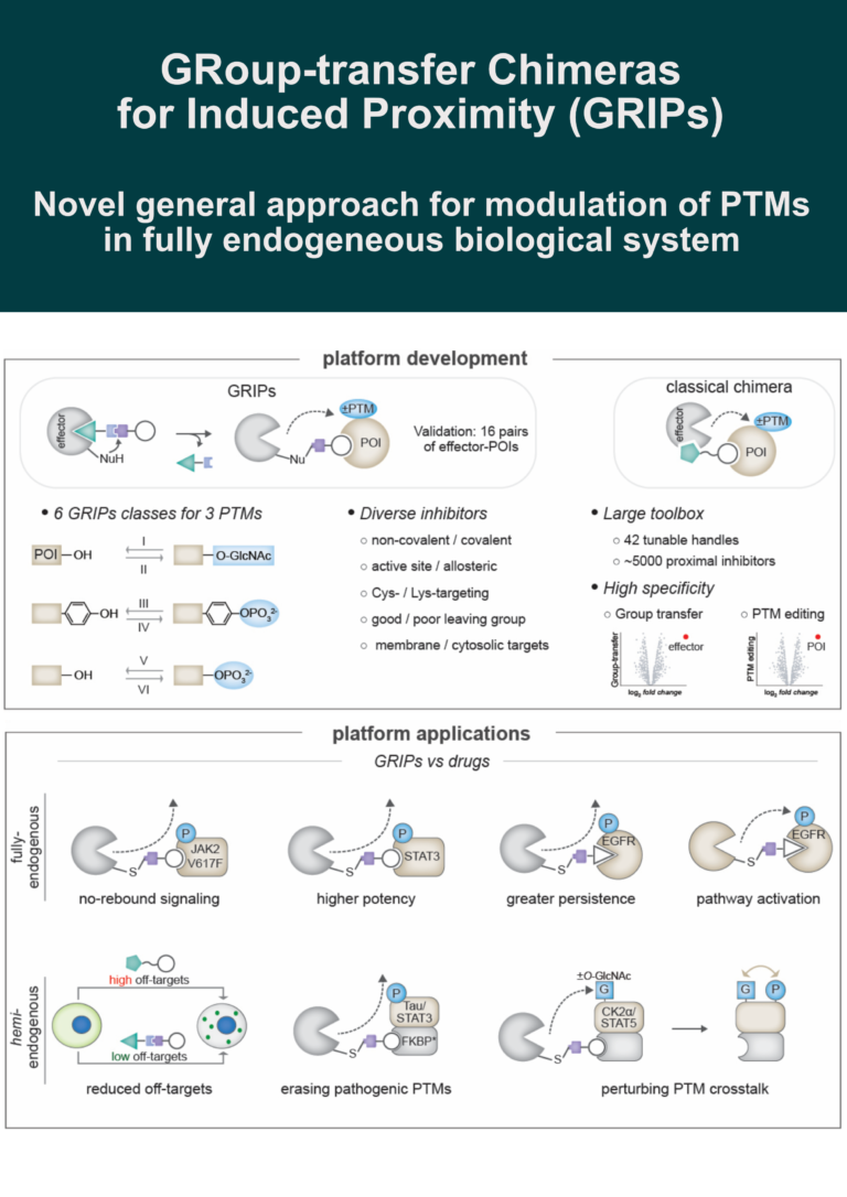 Group-Transfer Chimeras for Induced Proximity (GRIPs)