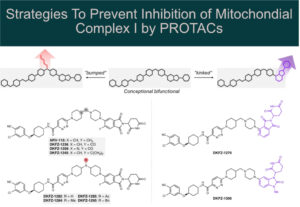From serendipity to essential protac profiling