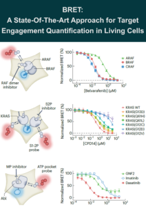 BRET: State-Of-The-Art Technology for Target Engagement in Living Cells