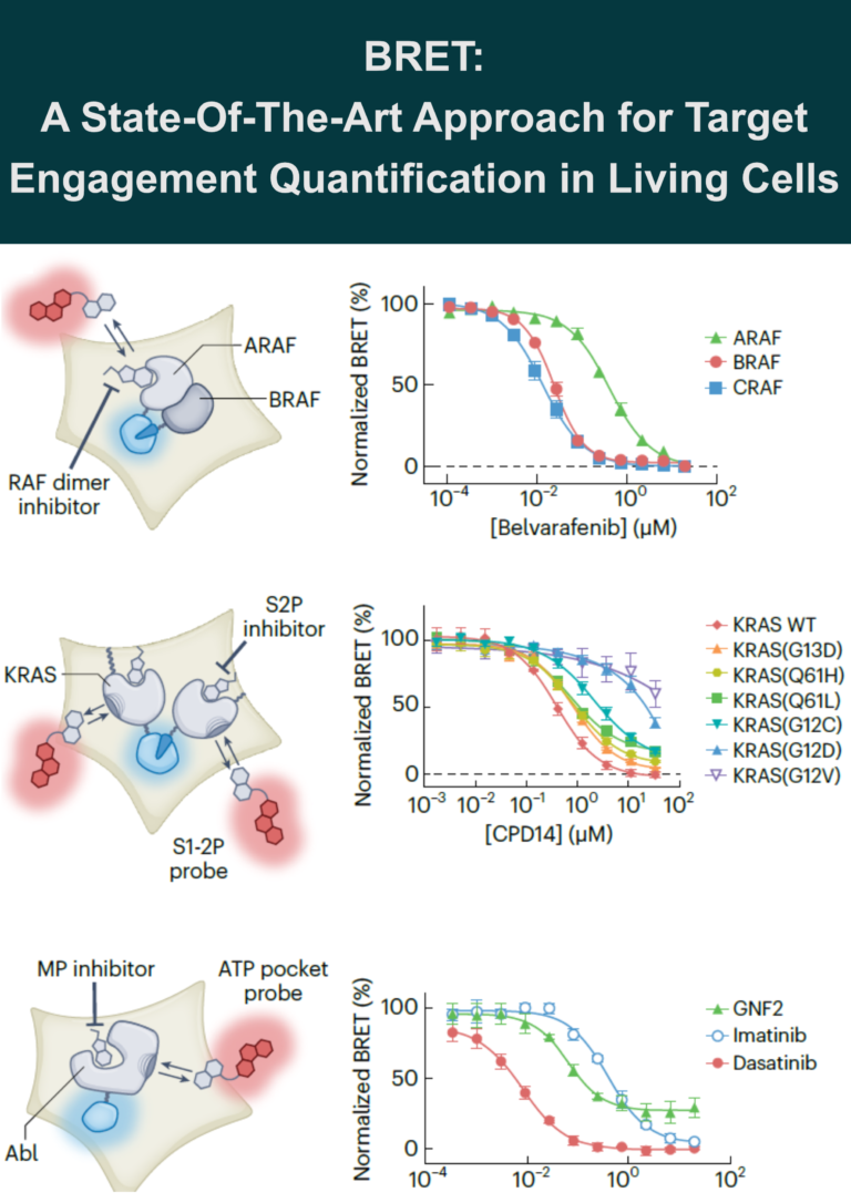BRET: State-Of-The-Art Technology for Target Engagement in Living Cells