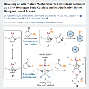 Unexpected Organo-Catalysis