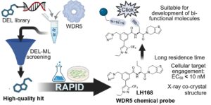 Curious How Drug Discovery Can Be Accelerated by DEL‑ML?