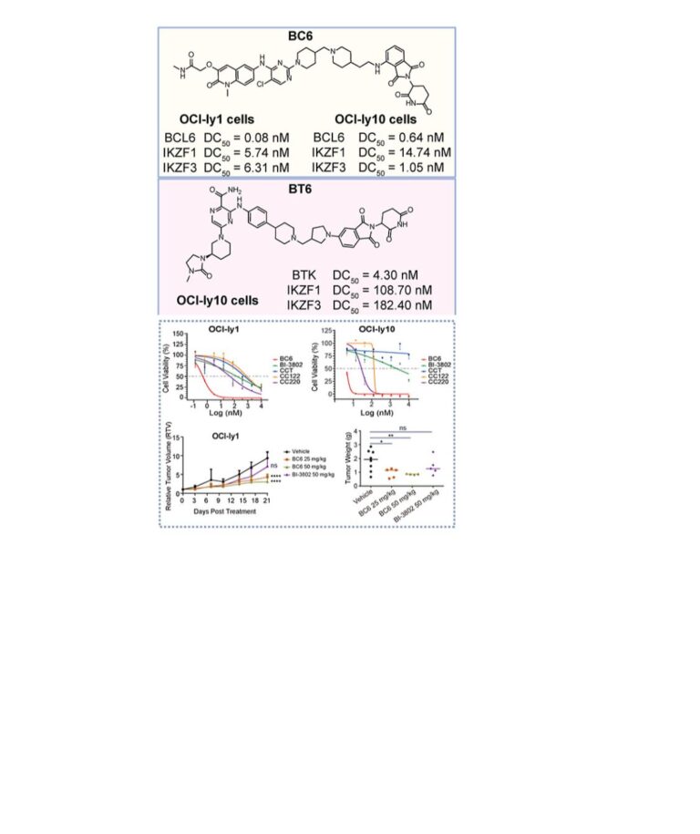 Is It PROTAC or Molecular Glue? … It Is Both!