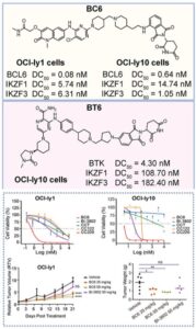 Is It PROTAC or Molecular Glue? … It Is Both!
