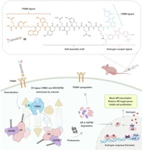 Nano-PROTACs Are Gaining Traction