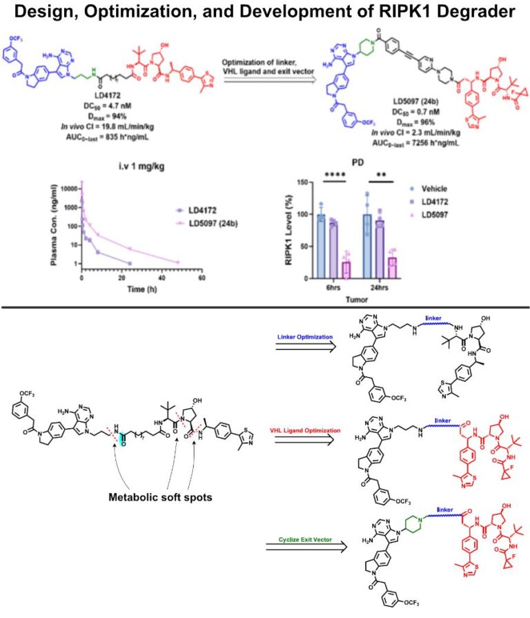 Design, Development and Optimization of RIPK1 Degrader