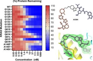 Cracking the Oncogenic Star Player KRAS