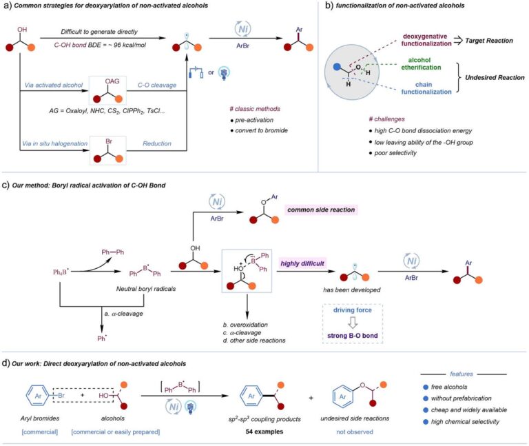 Alcohols as Building Blocks for C-C Cross Coupling
