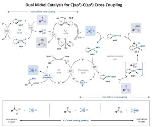 When One Catalytic Cycle Is Not Enough