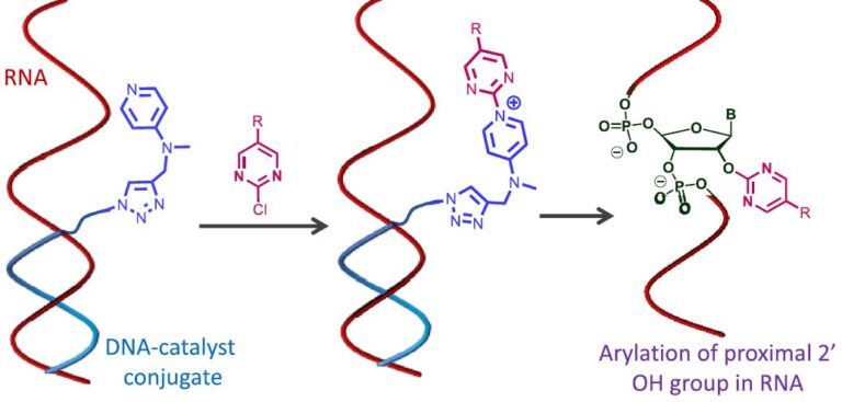 From DNA Code to Chemistry