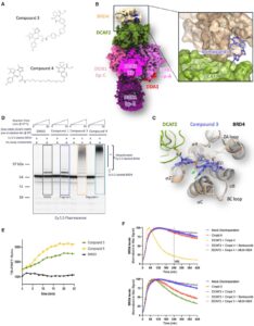 Let’s Hijack DCAF2 for TPD?!