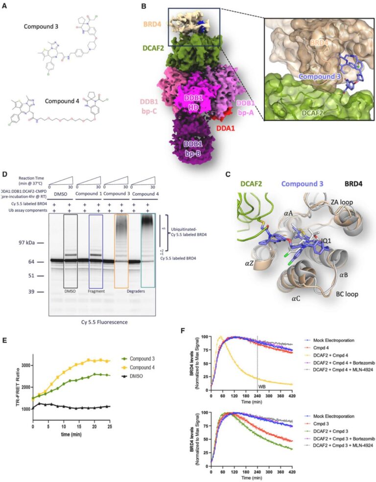 Let’s Hijack DCAF2 for TPD?!