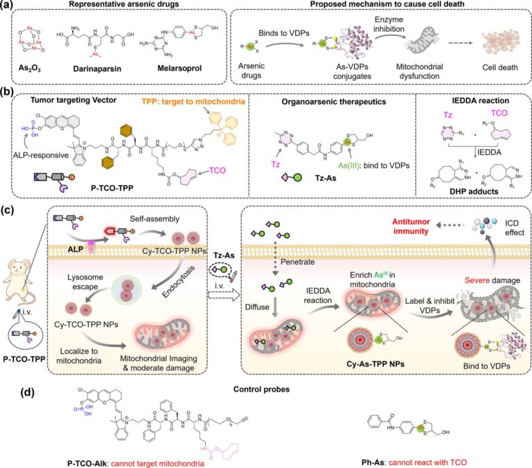 Smart Molecules Targeting Cancer Powerhouse