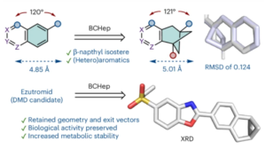 Novel Naphthyl Bioisostere for Your Med-Chem Toolbox