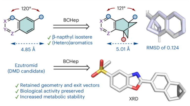 Novel Naphthyl Bioisostere for Your Med-Chem Toolbox
